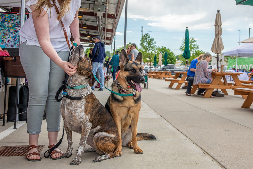 Farmers 2025 market dog