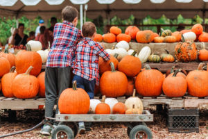 Celebrate Halloween Fun at Frisco Fresh Market